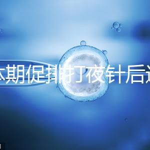 黃體期促排打夜針后還要吃地屈孕酮！服用后作用可真不少