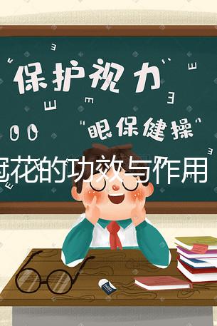 雞冠花的功效與作用(雞冠花的功效與作用與主治)