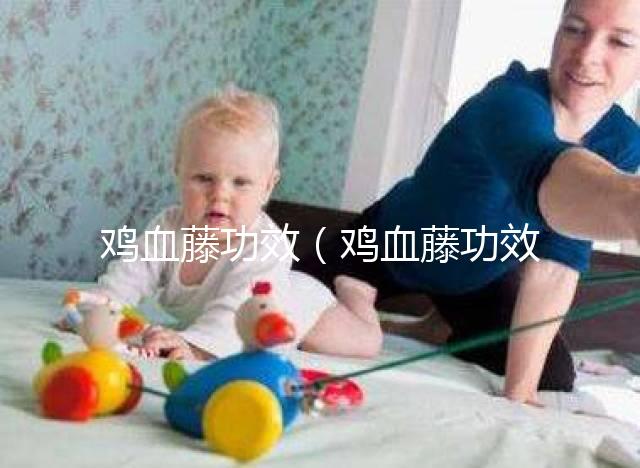 雞血藤功效(雞血藤功效主治)