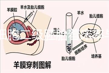 6細(xì)胞二級(jí)胚胎著床率與養(yǎng)囊成功率解讀,拿不準(zhǔn)移植與否戳