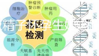 C級精子懷孕生娃之路不好走，試管或是唯一的選擇