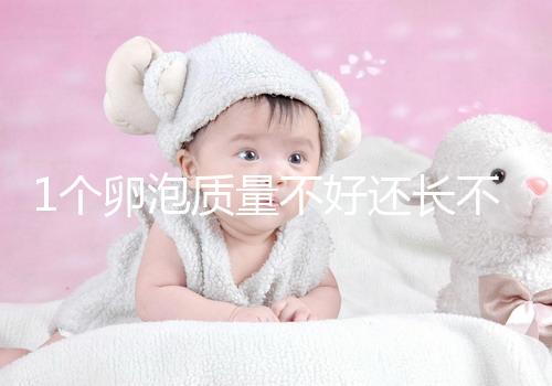 1個卵泡質量不好還長不大，如何提高試管嬰兒懷孕成功率？