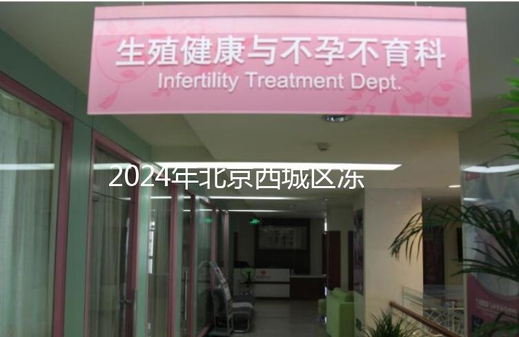 2024年北京西城區(qū)凍卵3個月更新費用！選擇合適的機構(gòu)非常重要！