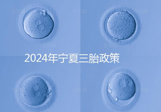 2024年寧夏三胎政策最新規定來襲，附西夏區實施時間