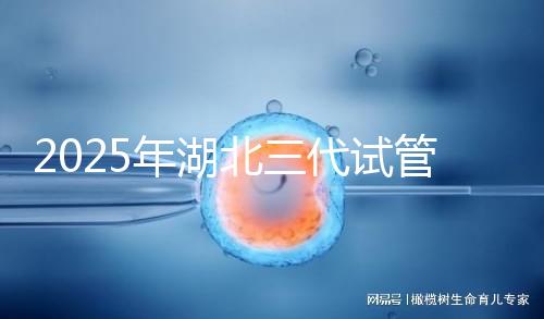 2025年湖北三代試管嬰兒費用明細一覽 附價格清單！