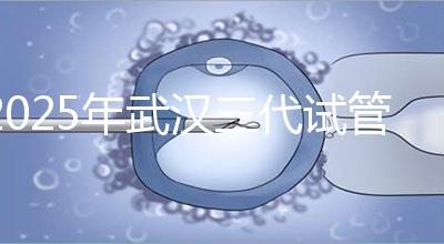 2025年武漢三代試管助孕比較新價格：8萬至15萬，費用明細公開！