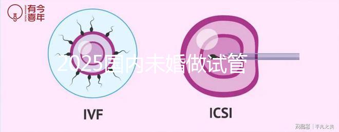 2025國內(nèi)未婚做試管嬰兒的機構(gòu)都是哪些？