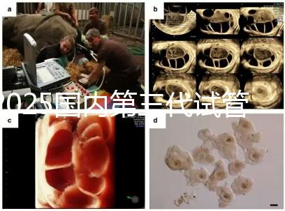 2025國內(nèi)第三代試管嬰兒技術醫(yī)院成功率排名榜,top5名單發(fā)布