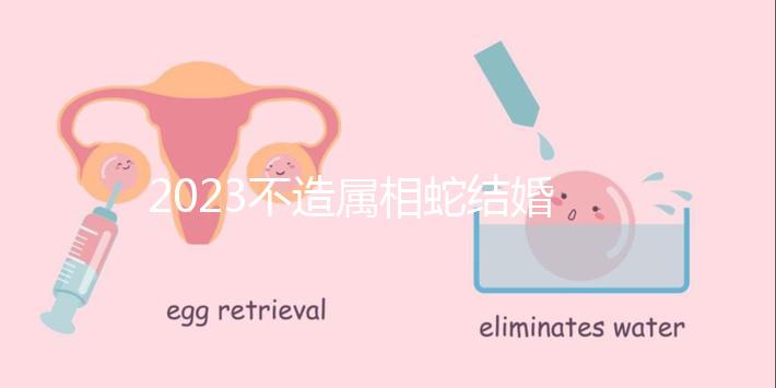 2023不造屬相蛇結婚跟什么相配?切記和屬豬易犯沖