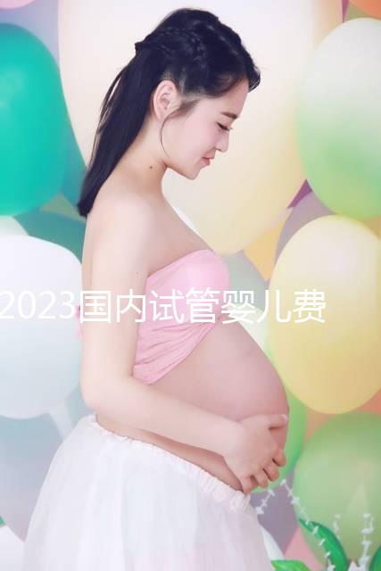 2023國內(nèi)試管嬰兒費(fèi)用明細(xì)表一覽，4大項(xiàng)目不同花費(fèi)get