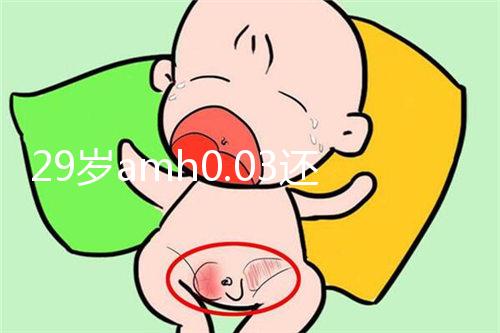 29歲amh0.03還能做試管嬰兒嗎?能否取到卵是懷孕關鍵