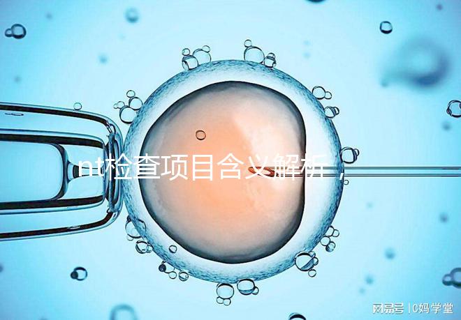 nt檢查項目含義解析，每個內(nèi)容都相當重要